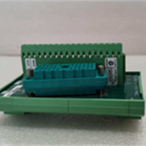 9753-1 TRICONEX 接线端子组件