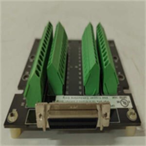 PPC-TB50 WATLOW ANAFZE开放式过程控制板