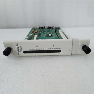 SPNIS21  ABB 网络接口模块