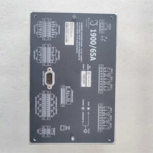 190065A-01-01-03-00-01 BENTLY 设备监测器