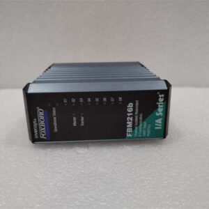 FBM216B  FOXBORO I/O模块