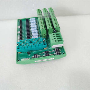 3000656-210-REVA  TRICONEX 外部控制板端接组件