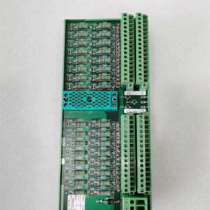 9566-810F   TRICONEX 装配套件端子面板