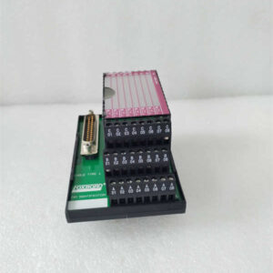 P0916XG FOXBORO 信号处理模块