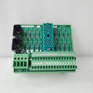 9662-610 TRICONEX 面板外部连接端