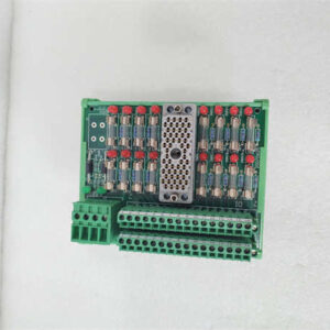 9563-810  TRICONEX 现场接线端子