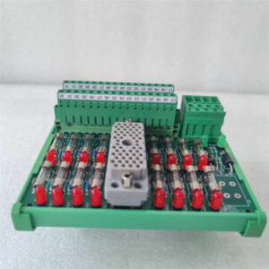 9565-810F TRICONEX 外部端接面板