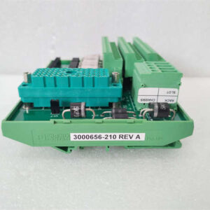 3000656-210-REVA TRICONEX 面板外部连接端