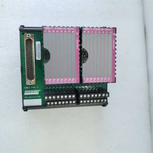 P0916BT FOXBORO 分布式控制系统（DCS）的连接电缆组件