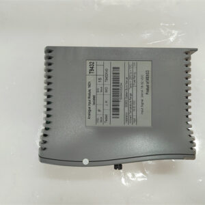 T9432 ICS TRIPLEX  模拟输入模块