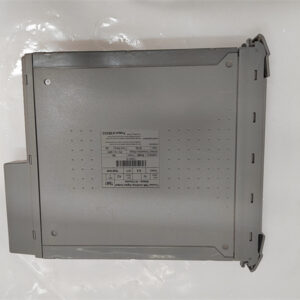 T8461 ICS TRIPLEX TMR 24/48 Vdc 数字输出模块