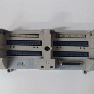 1C31205G01 EMERSON 远程节点控制器基座