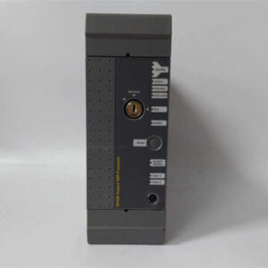 T8110C B ICSTRIPLEX 可信的TMR（三重模块）内存模块