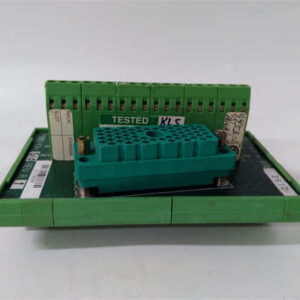 9753-1 TRICONEX 数字量输入模块