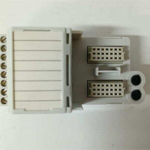 8610-FT-NA EMERSON PAC8000现场端子