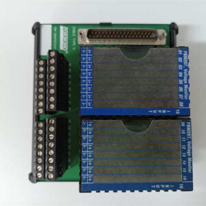 P0916PH P0916AL FOXBORO 可编程式逻辑控制器模块 带 DIN 安装底座