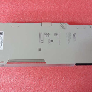 140CHS11000 SCHNEIDER 热备模块 - 图片 3