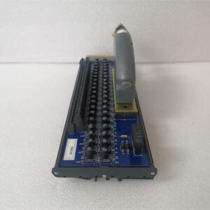 T8830 ICS TRIPLEX 40 通道模拟量输入现场端子组件 (FTA)