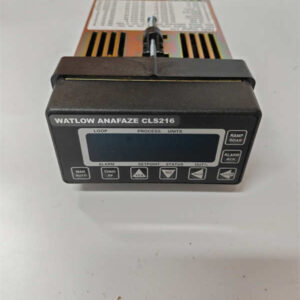ANAFAZE CLS216 温度控制器 - Watlow多回路PID控制专家，稳定高效，告别温度波动！