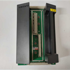 TRICONEX 2401 模块，IP65 防护，适应恶劣工业环境！