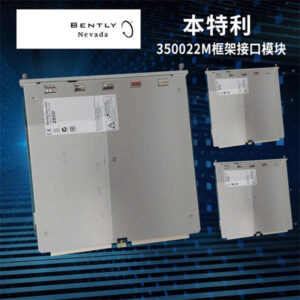 本特利 3500/22M 冗余通信卡 - 双网口配置，保障数据不间断传输，工业“硬货”！