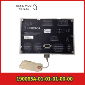 本特利 1900/65A-01-01-01-00-00 监测系统 - DIN导轨安装，自带显示屏，轻松搞定！