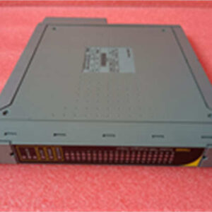 ICS TRIPLEX T8480C 电源模块 - 三重冗余设计，为安全系统提供可靠电力保障！